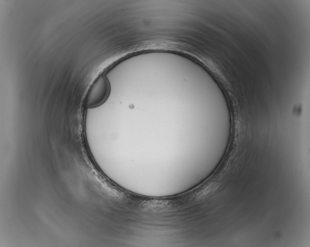 X0000114410846200911061559