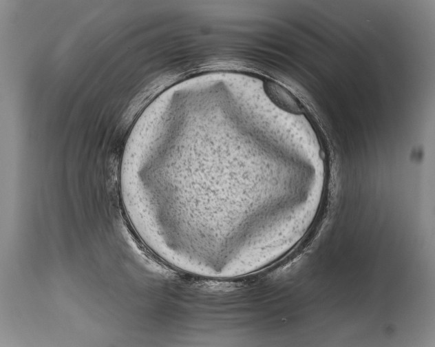 X0000114410849200911061559