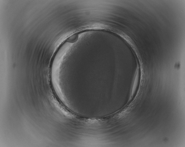 X0000114410850200911061559