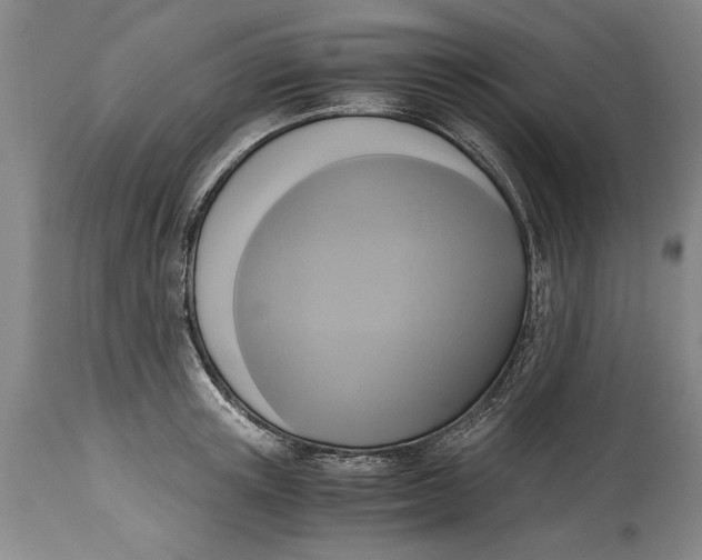 X0000114410851200911061559