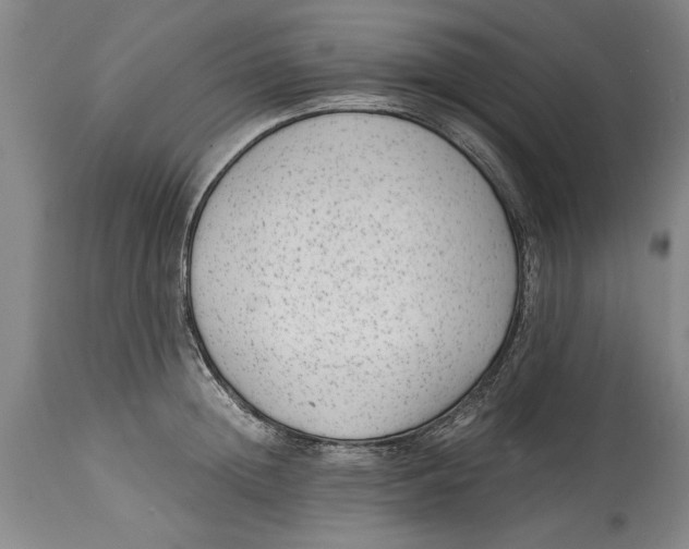 X0000114410852200911061559