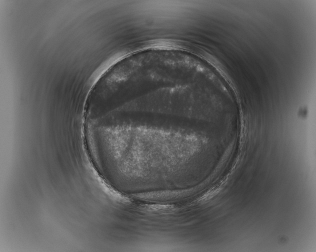 X0000114410853200911061559