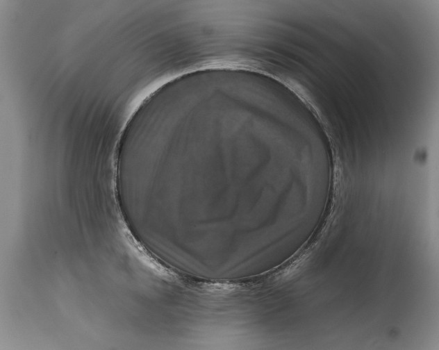 X0000114410854200911061559