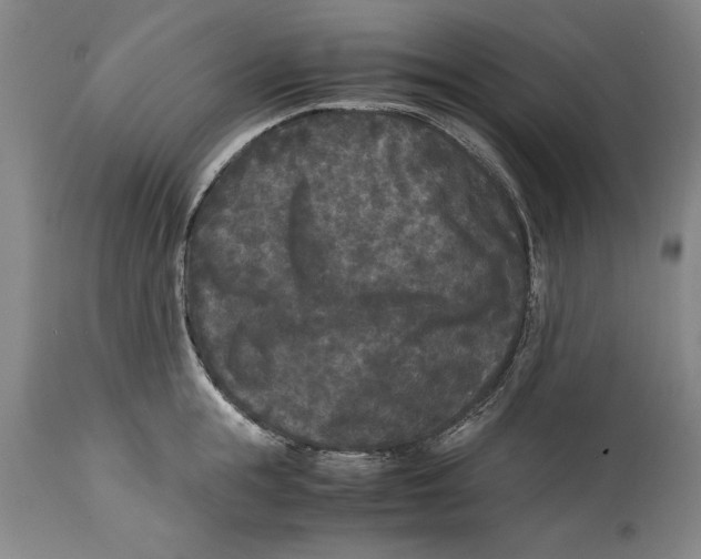 X0000114410855200911061559