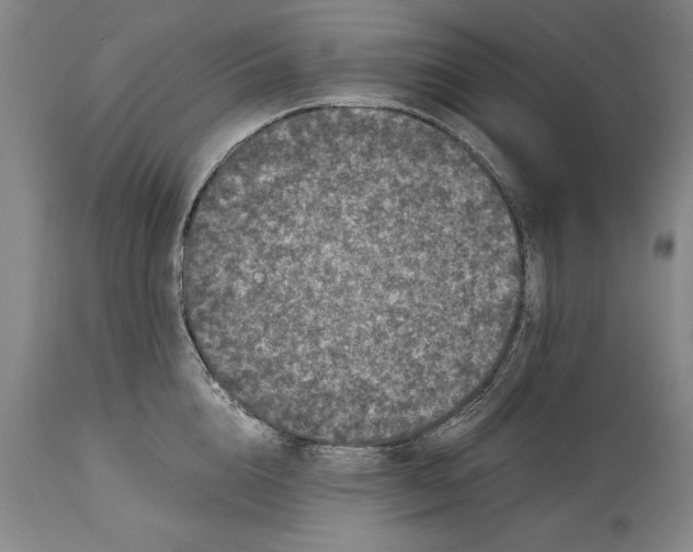 X0000114410856200911061559