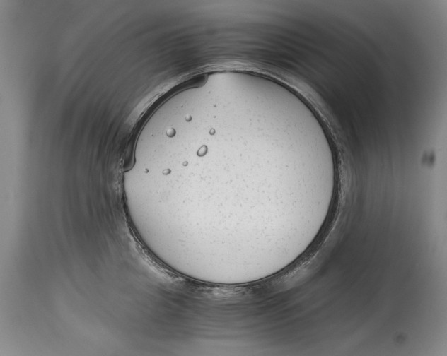 X0000114410857200911061559