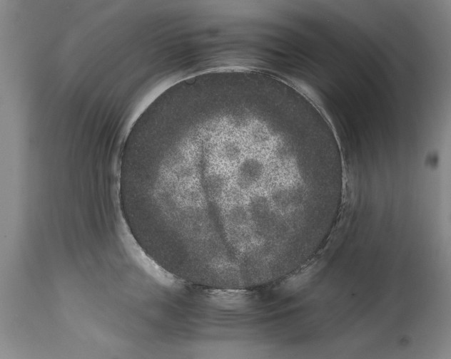 X0000114410859200911061559