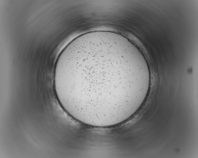 X0000114410860200911061559