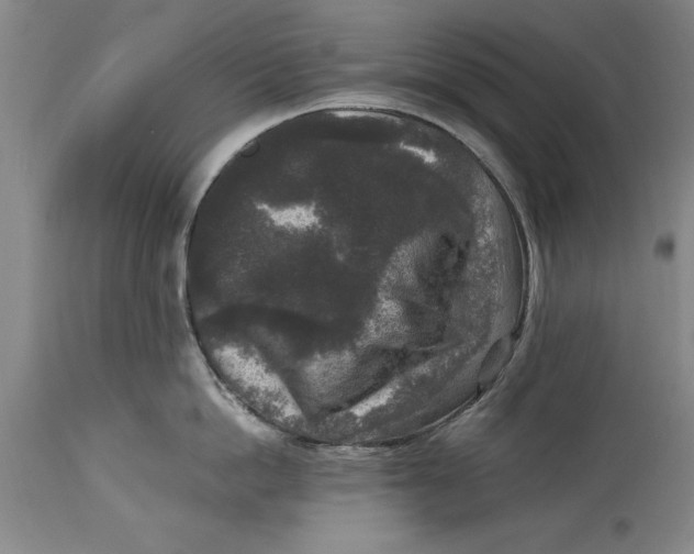 X0000114410862200911061559