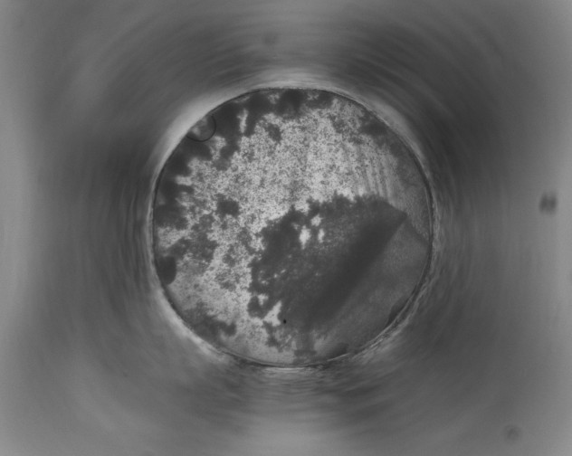 X0000114410863200911061559