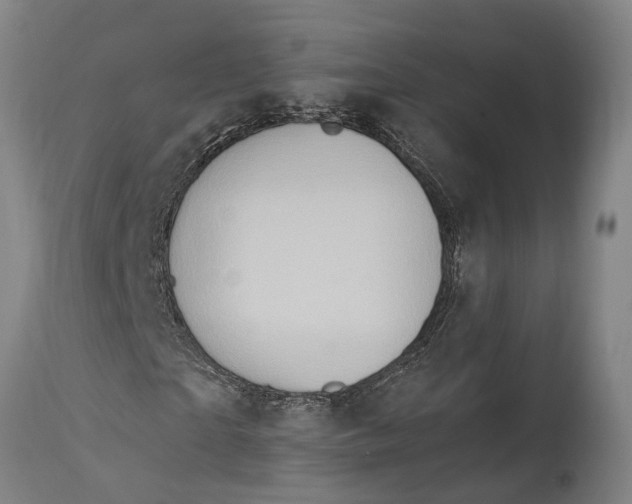 X0000114410865200911061558