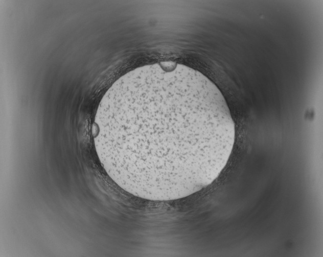 X0000114410866200911061558