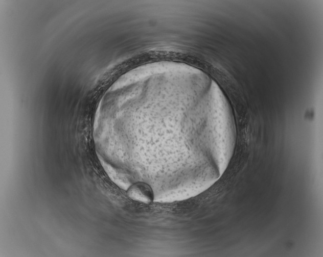 X0000114410870200911061558