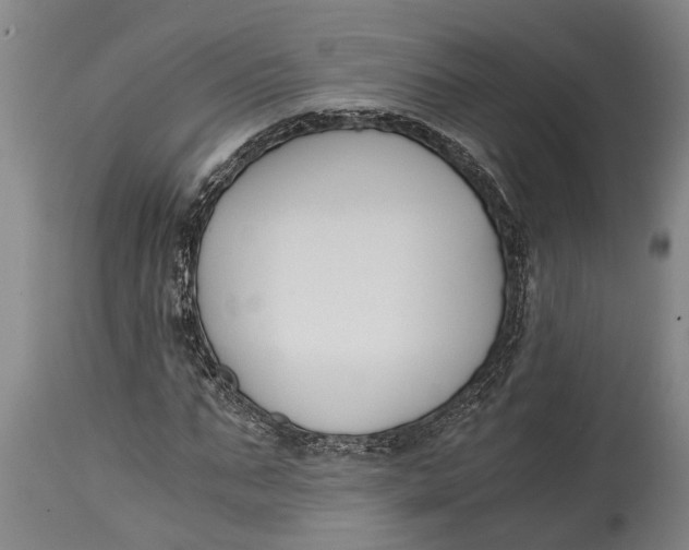 X0000114410871200911061558