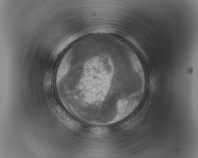 X0000114410874200911061558