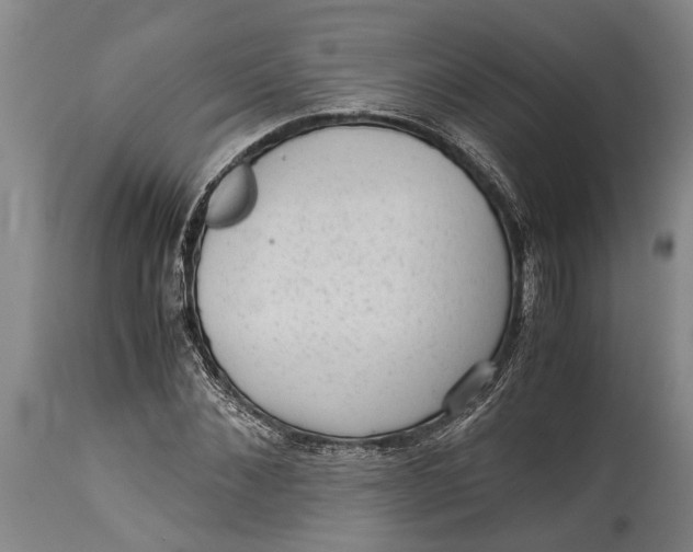 X0000114410876200911061558