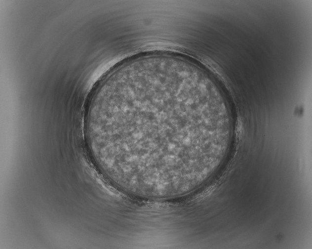 X0000114410877200911061558