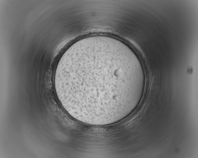 X0000114410878200911061558