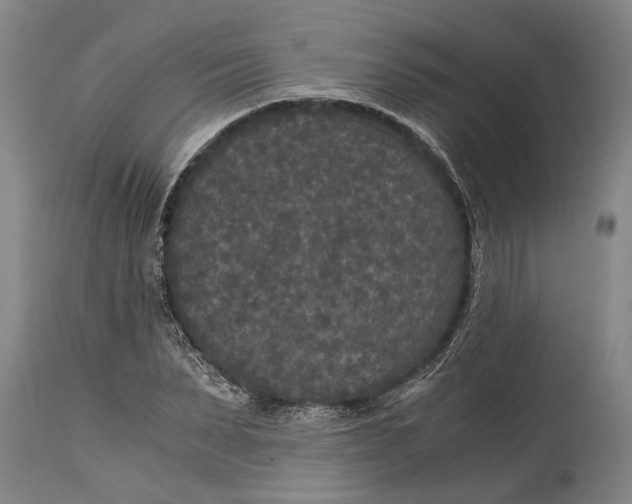 X0000114410879200911061558