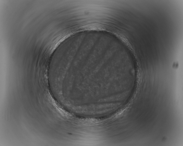 X0000114410881200911061558