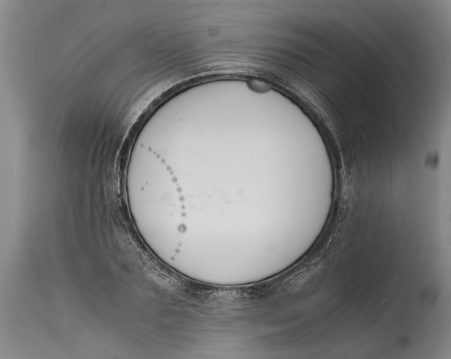 X0000114410883200911061558