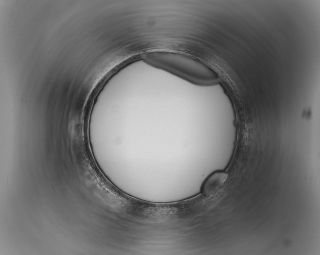 X0000114410884200911061558