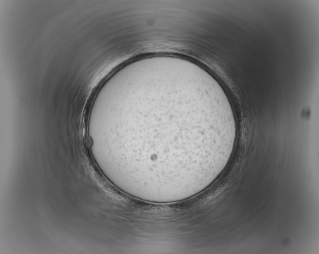 X0000114410885200911061558