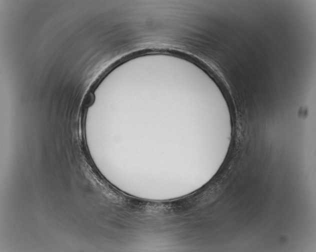 X0000114410887200911061558