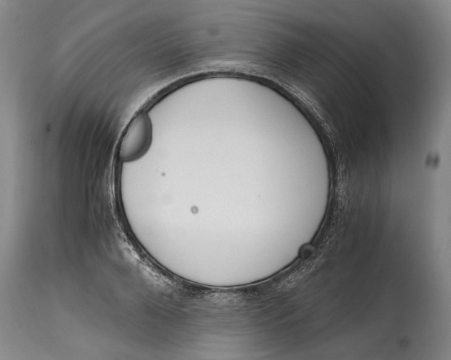 X0000114410888200911061558