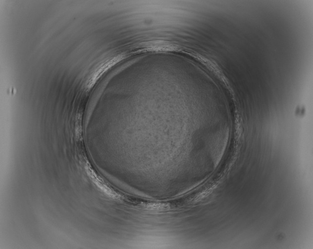 X0000114410889200911061558