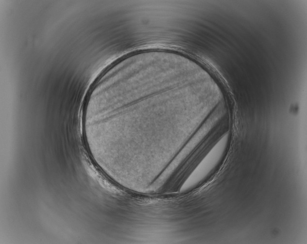 X0000114410892200911061558