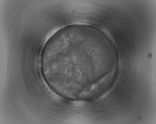 X0000114410893200911061558