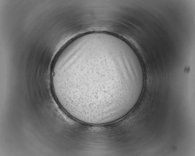 X0000114410894200911061558