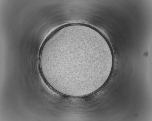 X0000114410895200911061558