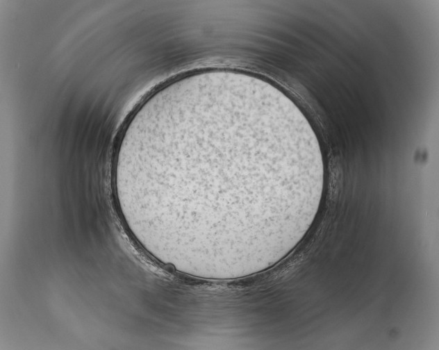 X0000114410896200911061558