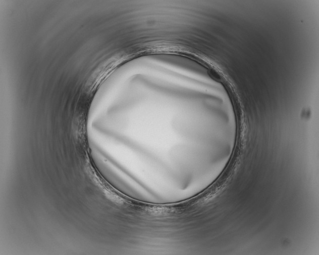 X0000114410897200911061558