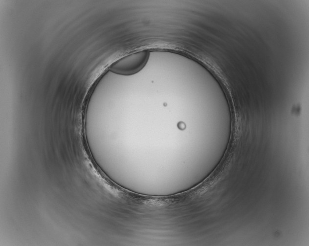 X0000114410898200911061558