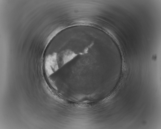 X0000114410899200911061558