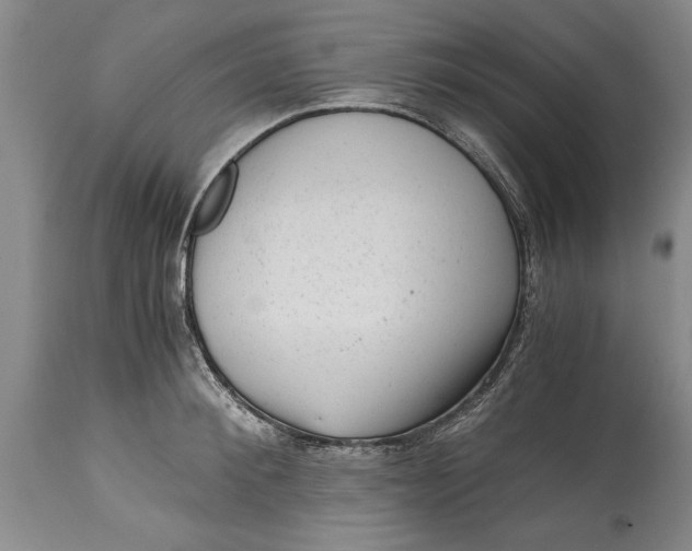 X0000114410900200911061557