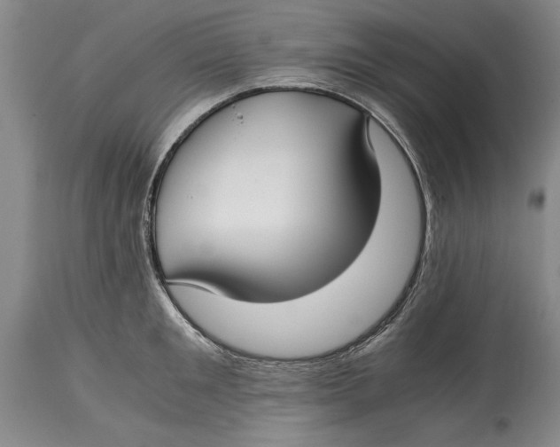 X0000114410901200911061557