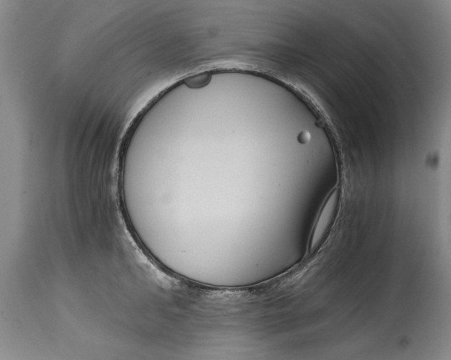 X0000114410902200911061557