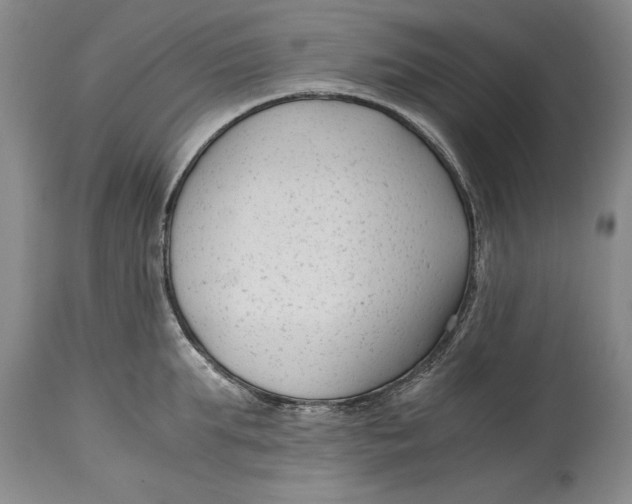 X0000114410903200911061557