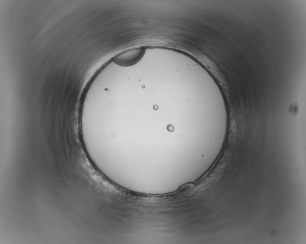 X0000114410904200911061557