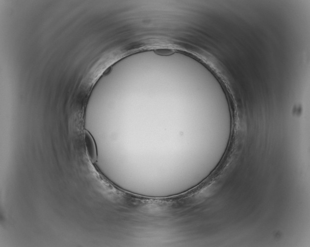 X0000114410905200911061557