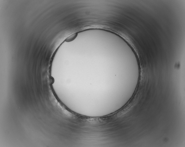 X0000114410906200911061557