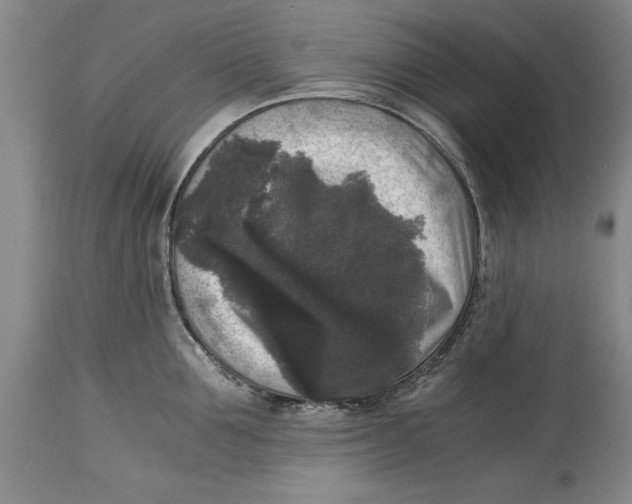 X0000114410907200911061557