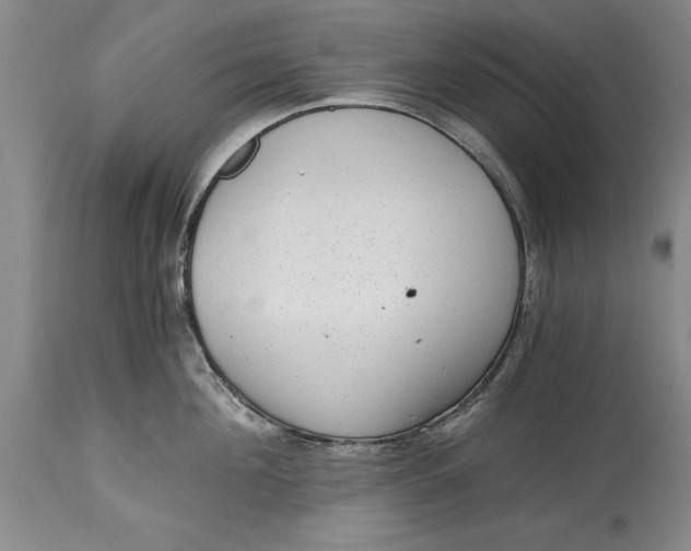 X0000114410908200911061557