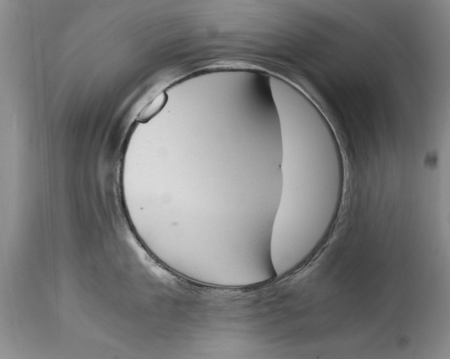 X0000114410909200911061557