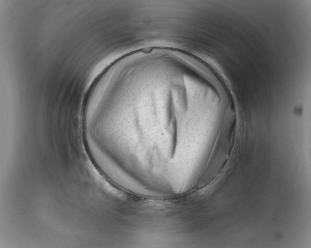 X0000114410910200911061557