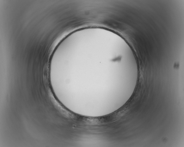 X0000114410911200911061557